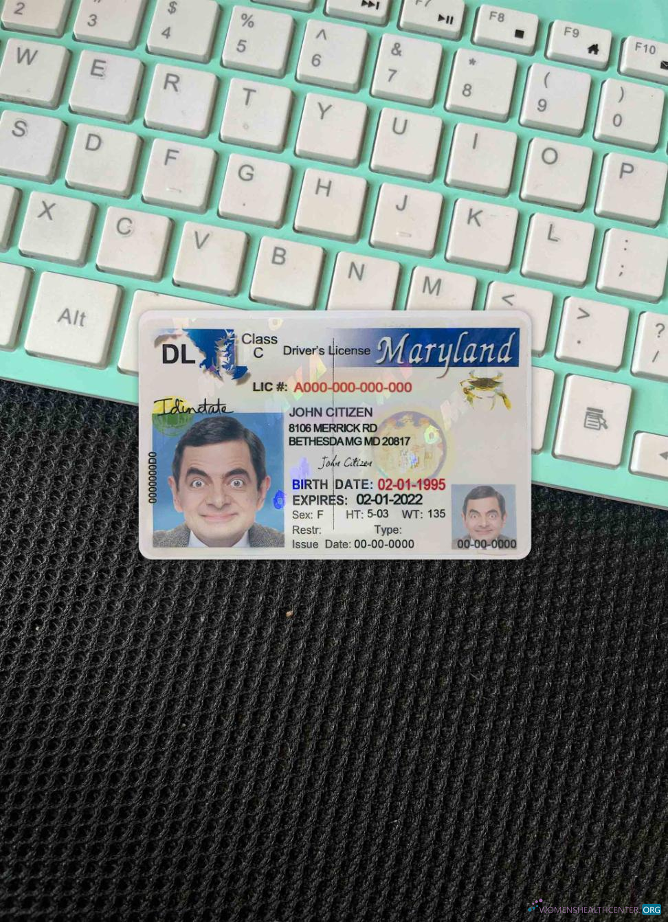 Download USA Maryland driving license 2003 2016 photolook FRONT Photoshop template
